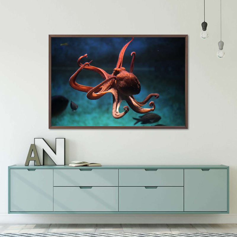 Octopus Vulgaris Wall Art