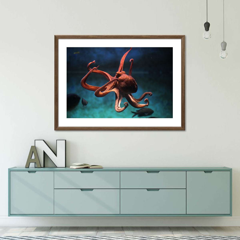 Octopus Vulgaris Wall Art
