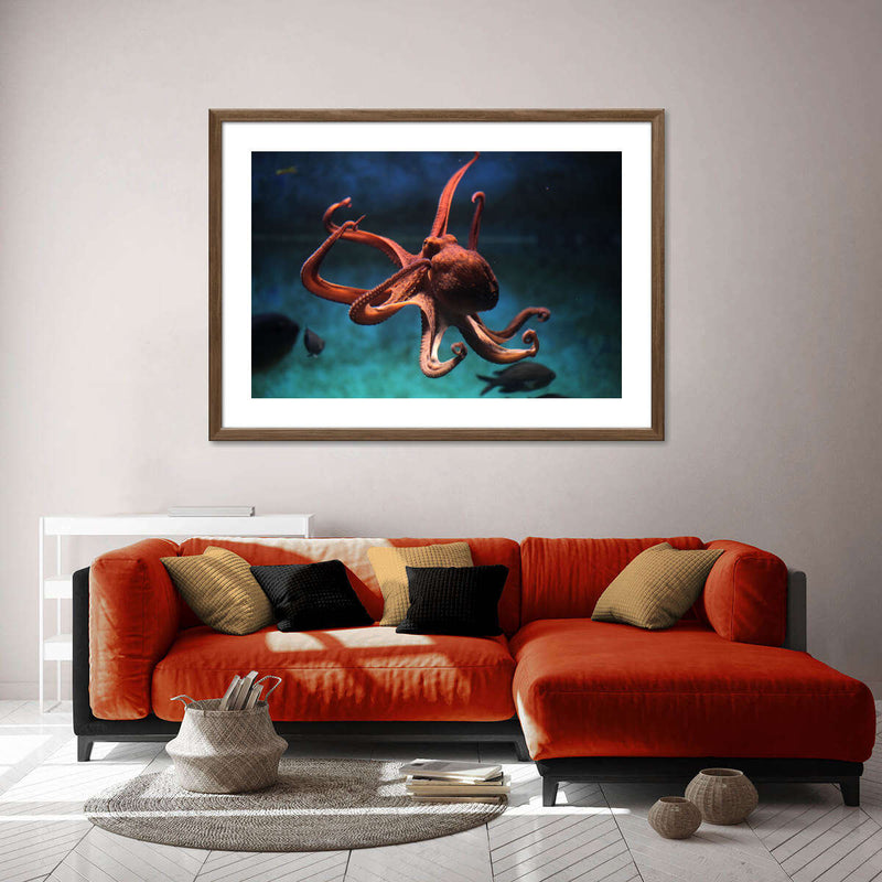 Octopus Vulgaris Wall Art