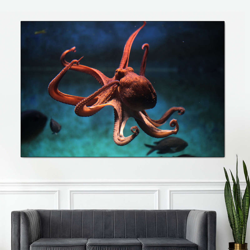 Octopus Vulgaris Wall Art