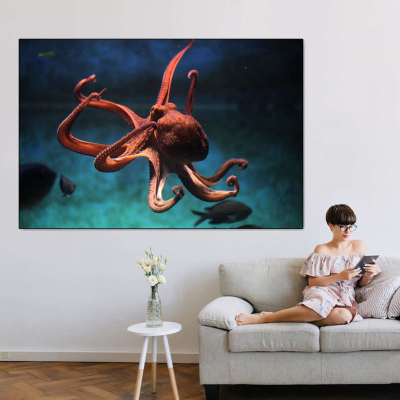 Octopus Vulgaris Wall Art