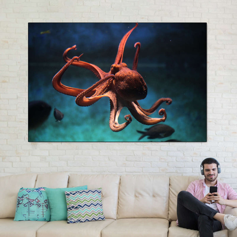 Octopus Vulgaris Wall Art