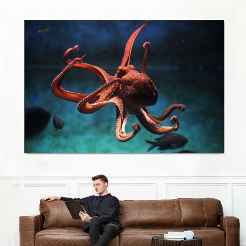 Octopus Vulgaris Wall Art