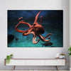Octopus Vulgaris Wall Art