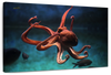 Octopus Vulgaris Wall Art