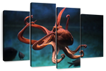 Octopus Vulgaris Wall Art