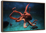 Octopus Vulgaris Wall Art