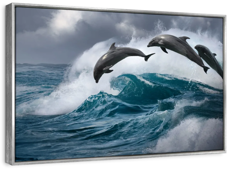 Leaping Dolphins Wall Art
