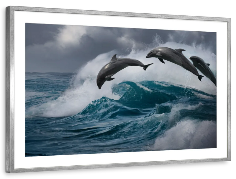 Leaping Dolphins Wall Art