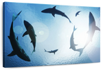 School Of Sharks Wall Art