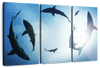 School Of Sharks Wall Art