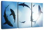 School Of Sharks Wall Art