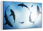 School Of Sharks Wall Art