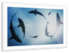 School Of Sharks Wall Art