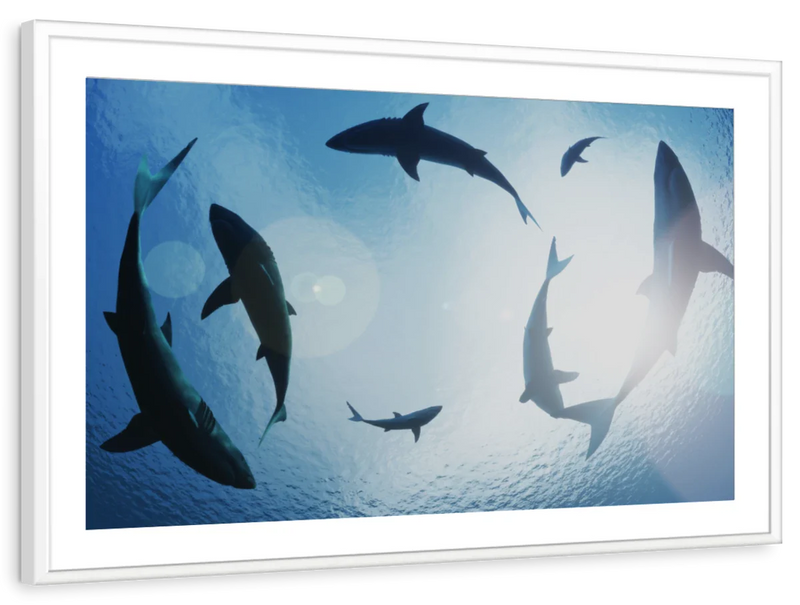 School Of Sharks Wall Art
