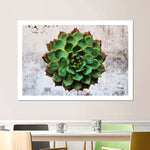 Grunge Succulent Wall Art