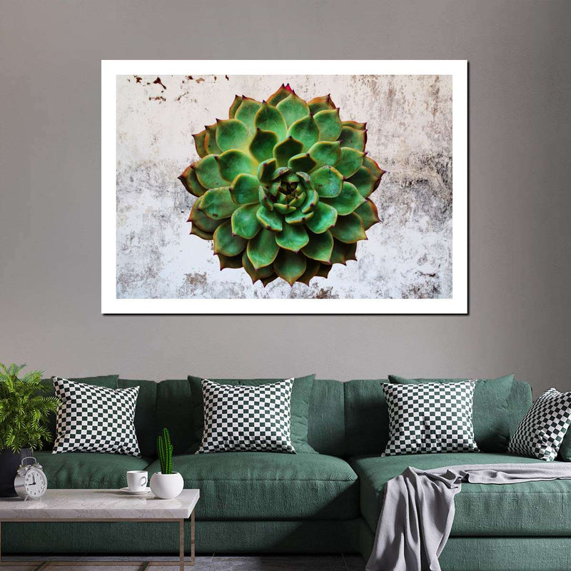 Grunge Succulent Wall Art