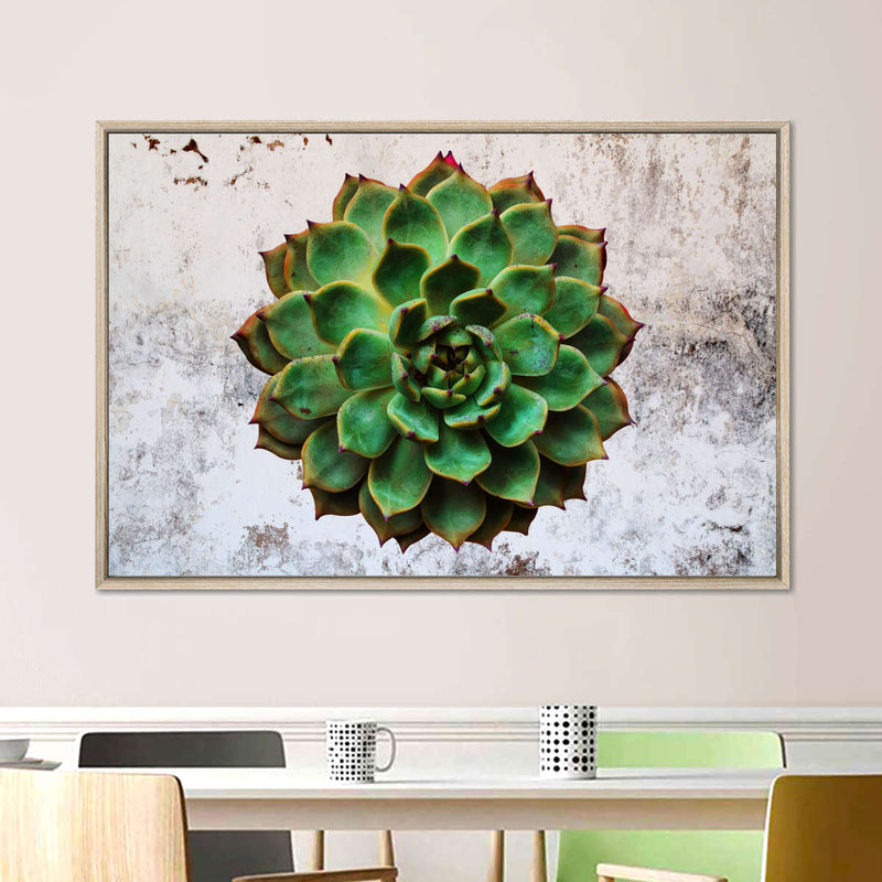Grunge Succulent Wall Art