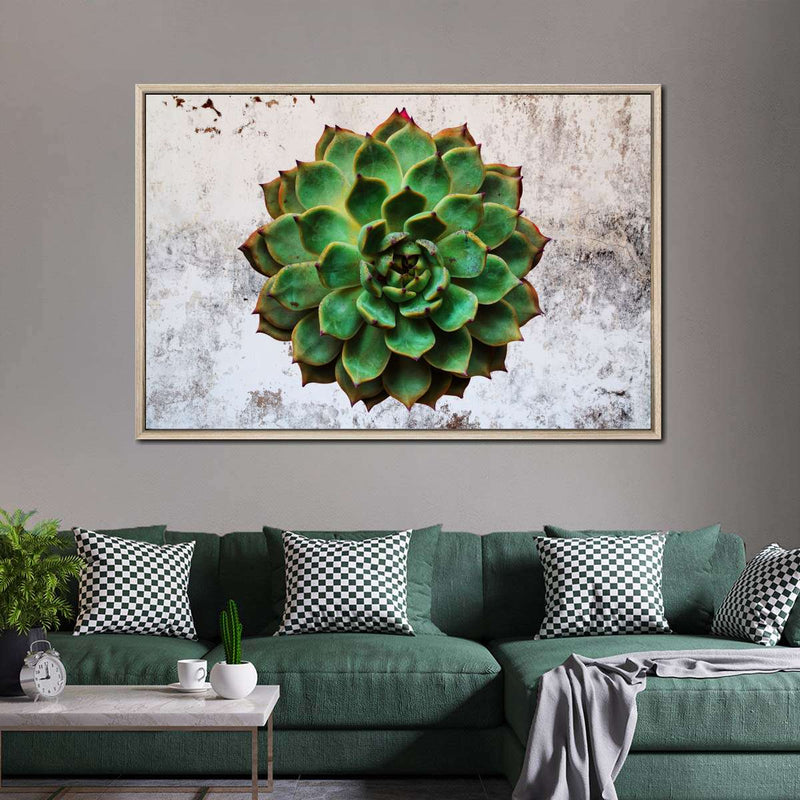 Grunge Succulent Wall Art
