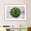Grunge Succulent Wall Art
