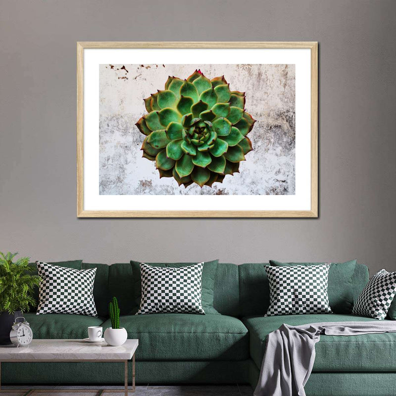 Grunge Succulent Wall Art