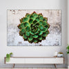 Grunge Succulent Wall Art