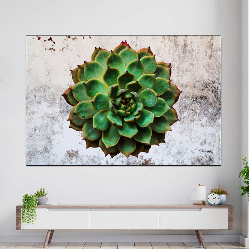 Grunge Succulent Wall Art