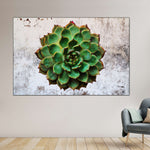 Grunge Succulent Wall Art
