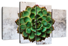 Grunge Succulent Wall Art