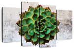 Grunge Succulent Wall Art