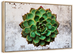 Grunge Succulent Wall Art