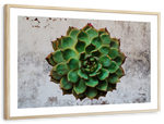 Grunge Succulent Wall Art