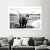 Highland Bull Wall Art