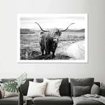 Highland Bull Wall Art