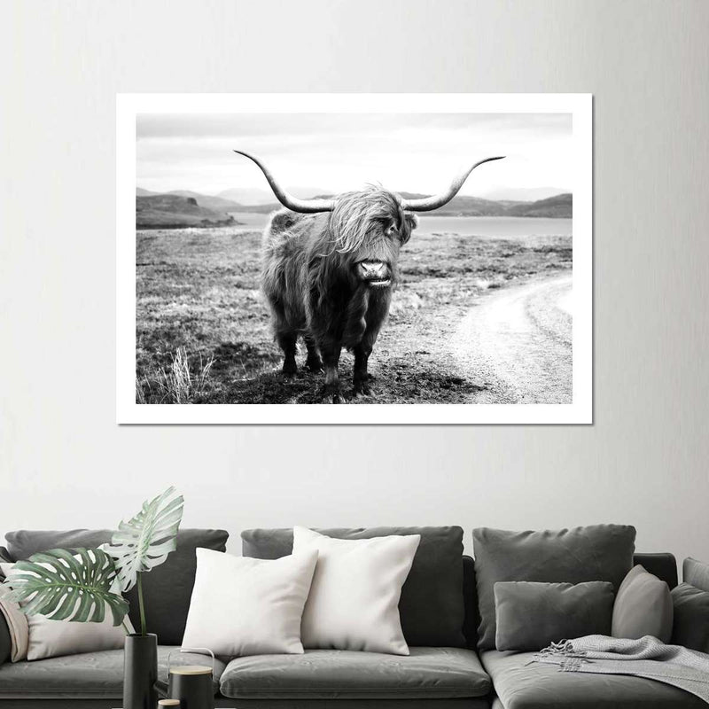 Highland Bull Wall Art