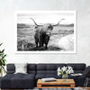 Highland Bull Wall Art