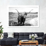 Highland Bull Wall Art