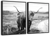 Highland Bull Wall Art