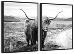 Highland Bull Wall Art