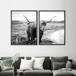 Highland Bull Wall Art