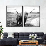 Highland Bull Wall Art