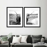 Highland Bull Wall Art