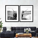 Highland Bull Wall Art