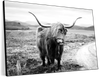Highland Bull Wall Art