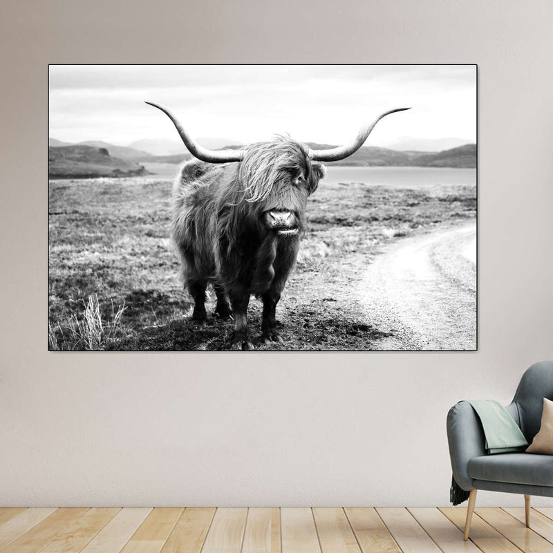 Highland Bull Wall Art