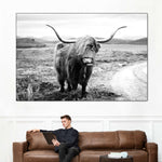 Highland Bull Wall Art