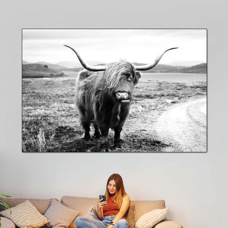 Highland Bull Wall Art
