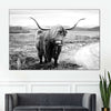 Highland Bull Wall Art
