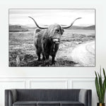 Highland Bull Wall Art