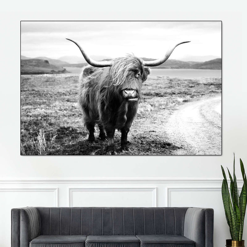 Highland Bull Wall Art
